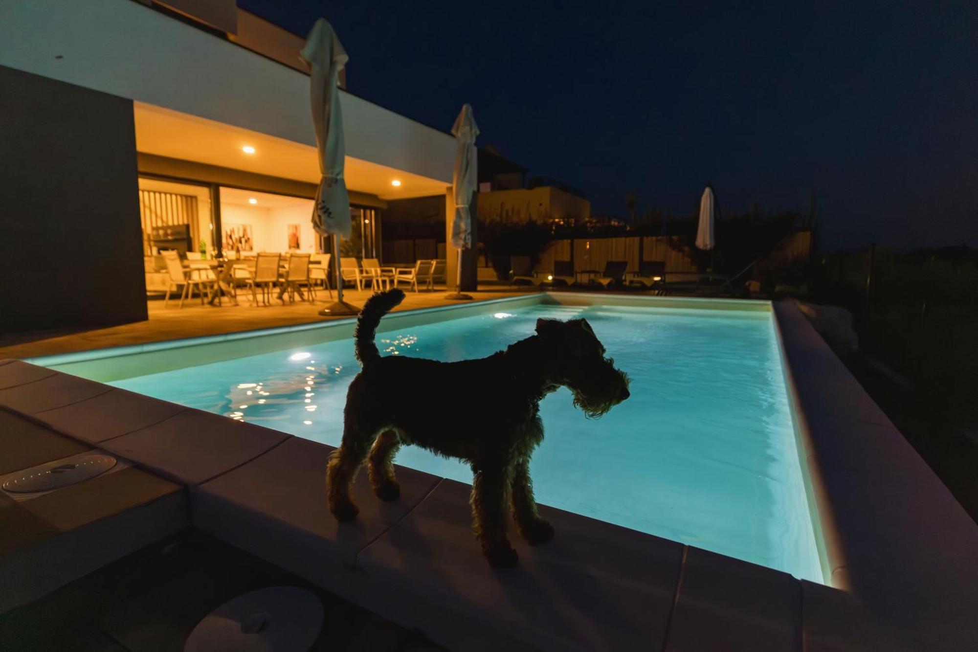 Villa Boiky - Private Pool And Amazing Sea View, Istria Materada Экстерьер фото