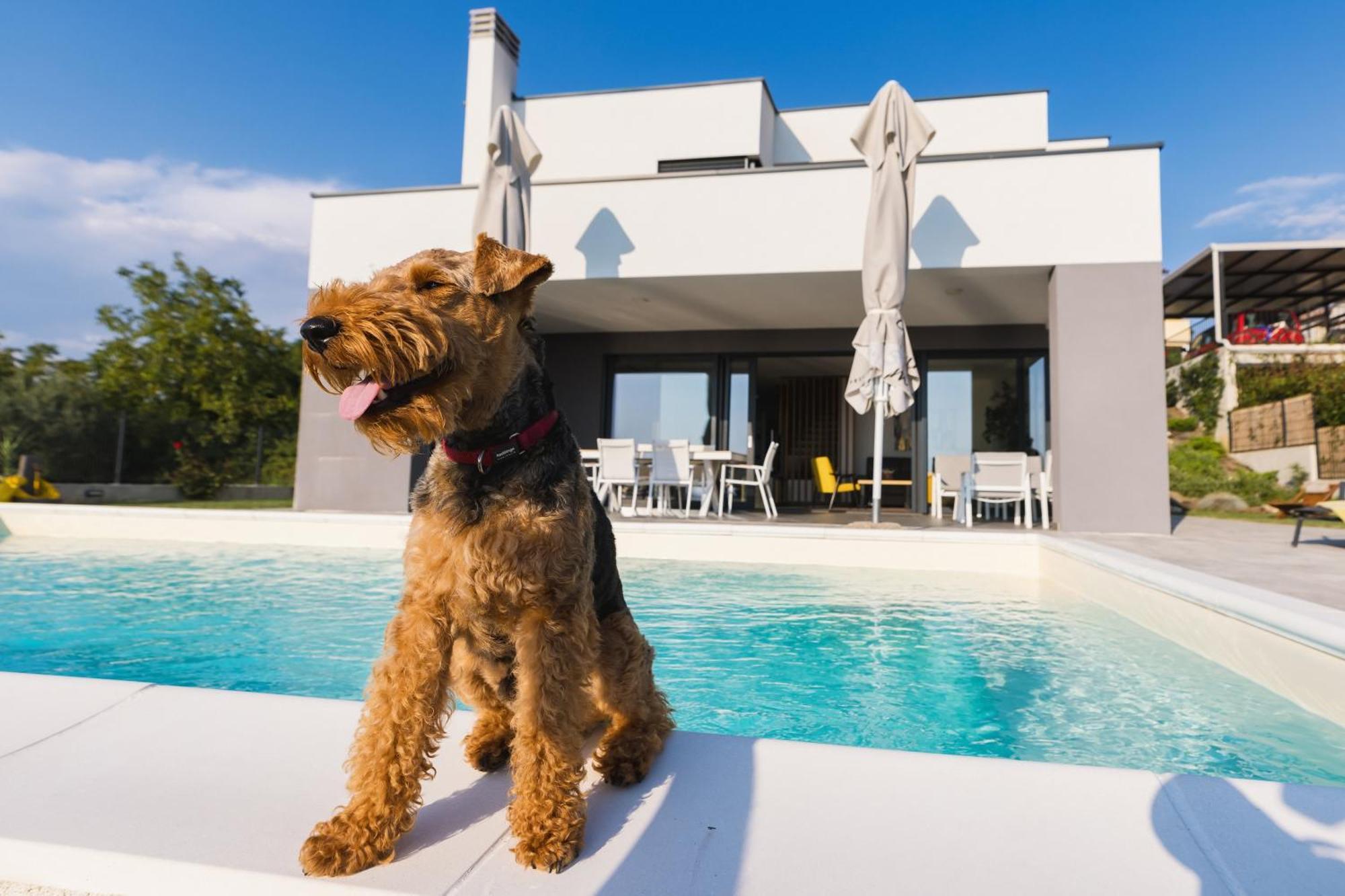 Villa Boiky - Private Pool And Amazing Sea View, Istria Materada Экстерьер фото
